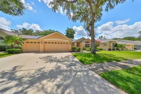 Winding River, VALRICO, FL 33596