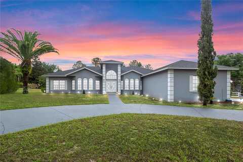 Thoroughbred, MONTVERDE, FL 34756