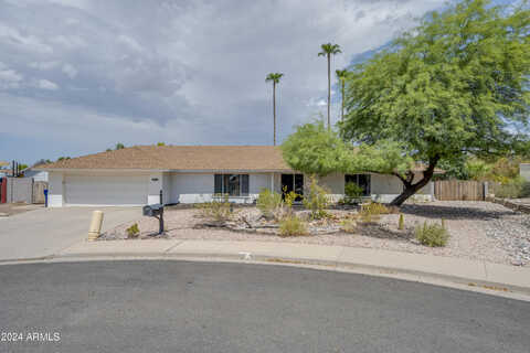 Chestnut, MESA, AZ 85213