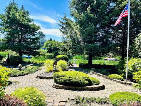 Cockle, OCEAN SHORES, WA 98569