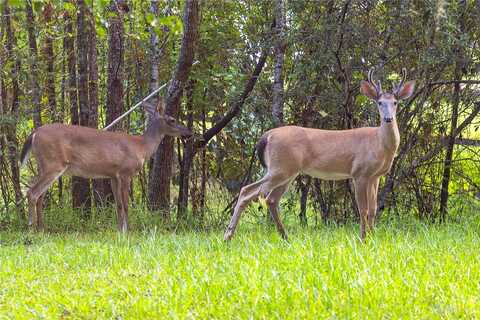 Lake Iamonia, TALLAHASSEE, FL 32312