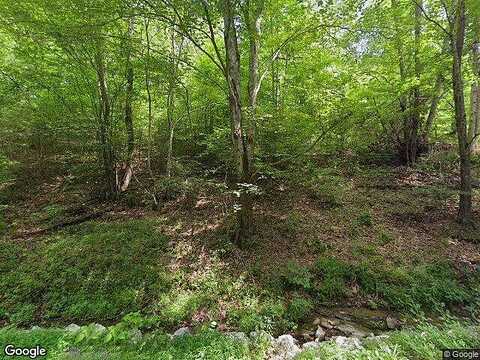 Big Spring Hollow, PULASKI, TN 38478