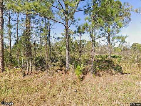 Pheasant, LAKE PLACID, FL 33852