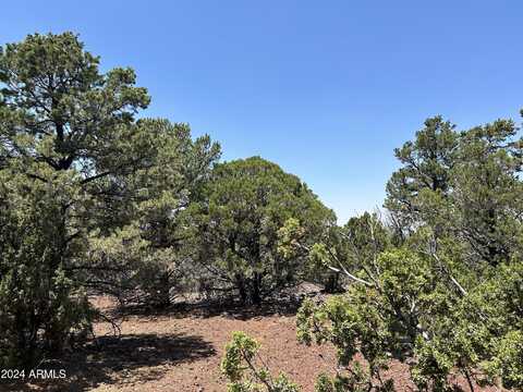 Lot 75 N Dolly Drive, Vernon, AZ 85940