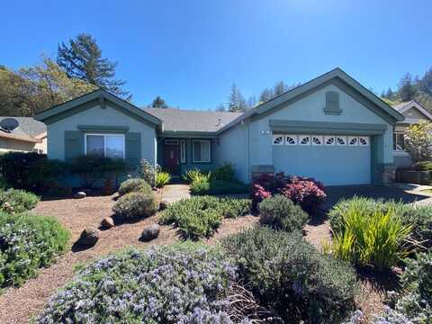 257 Red Mountain Drive, Cloverdale, CA 95425