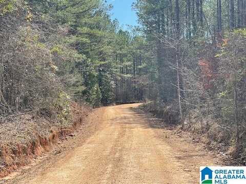 COUNTY ROAD 140, WADLEY, AL 36276