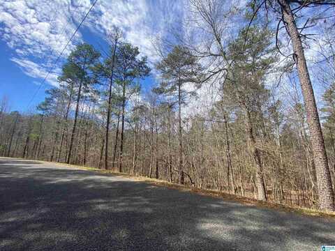 MOUNTAIN SPRINGS ROAD, ASHVILLE, AL 35953