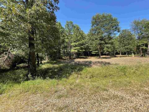 TBD SUSIE LN, Mena, AR 71953