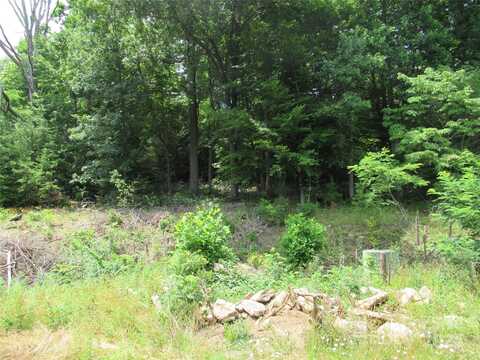 99999 Long View Drive, Black Mountain, NC 28711