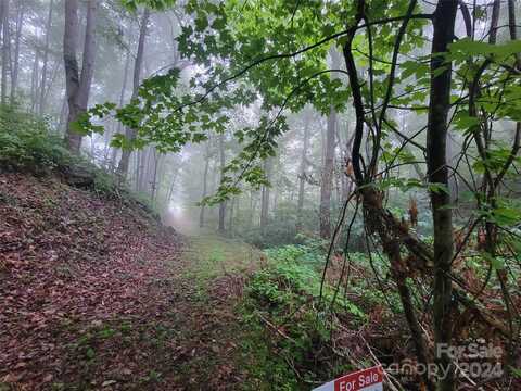 2100 Chambers Mountain Road, Clyde, NC 28721