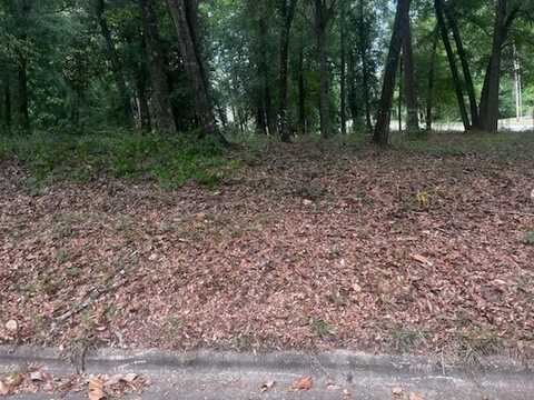 3801 Old Mill Run, Dothan, AL 36303