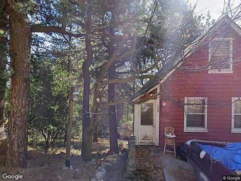 Coulter Pine, CRESTLINE, CA 92325