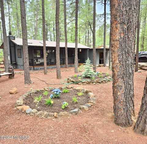 Buck Springs, PINETOP, AZ 85935