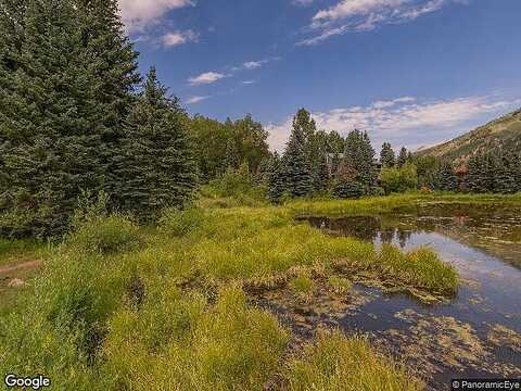 Pine, TELLURIDE, CO 81435