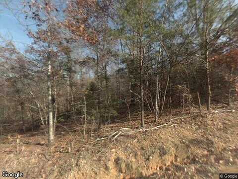 Goins Hill, TEN MILE, TN 37880