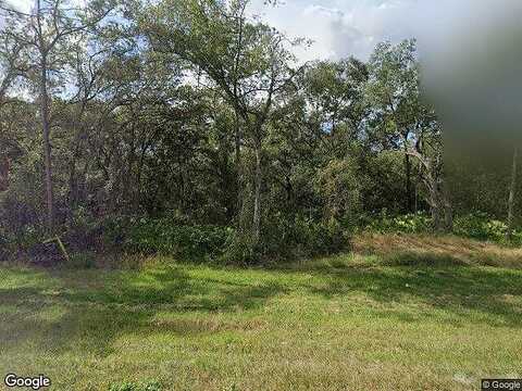 Treiman, WEBSTER, FL 33597