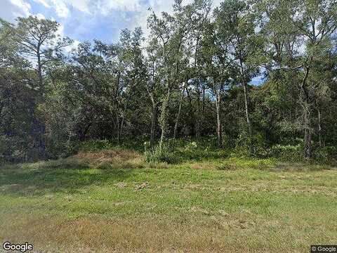 Treiman, WEBSTER, FL 33597