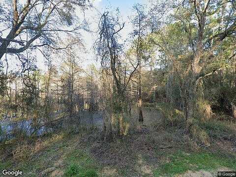 Norman, WEBSTER, FL 33597