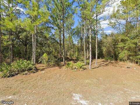 Treiman, WEBSTER, FL 33597