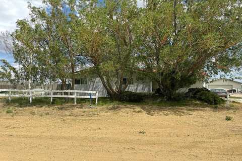 Maple, MEDICINE BOW, WY 82329