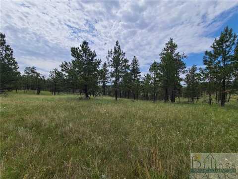 Tba EAGLE RIDGE RD, Roundup, MT 59072