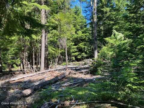 Nna Toad Road ( 5acres), Priest River, ID 83856