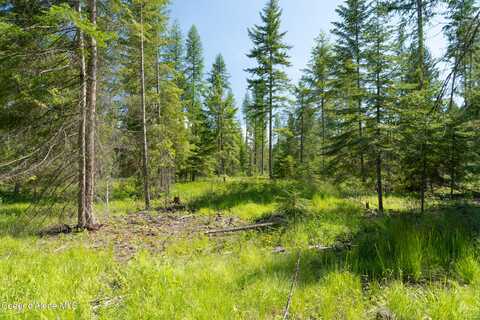 N Lot Holmes Rd, Bonners Ferry, ID 83805