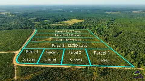 Parcel 2 Whipporwill Road, Reynolds, GA 31076