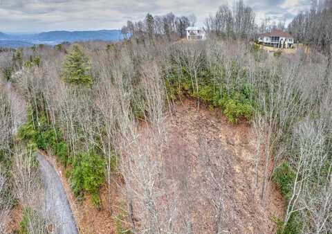 Tbd School House Drive, Pisgah Forest, NC 28768