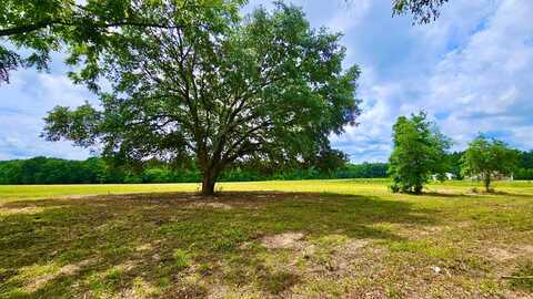 10 Acres Skyline Rd, Geneva, AL 36340