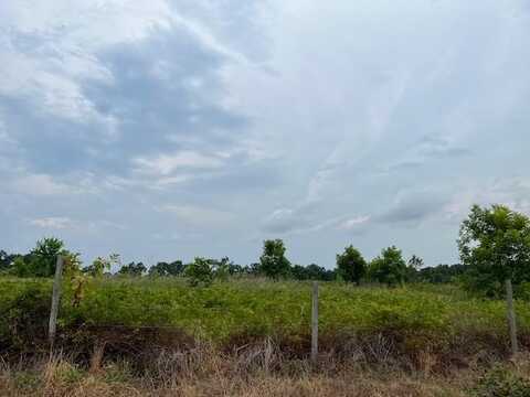 0 Sharon Drive, Abbeville, AL 36310