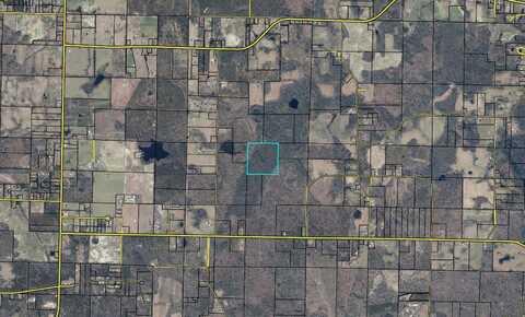 80 Acres Wes Nelson Road, Chipley, FL 32428