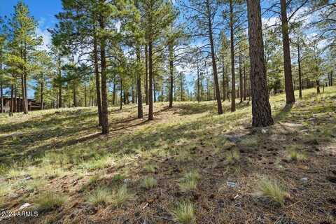 2531 E DEL RAE Drive, Flagstaff, AZ 86005