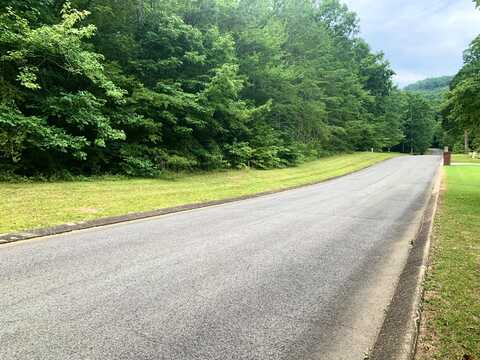 Lot 93 Big Cedar Drive, Dunlap, TN 37327