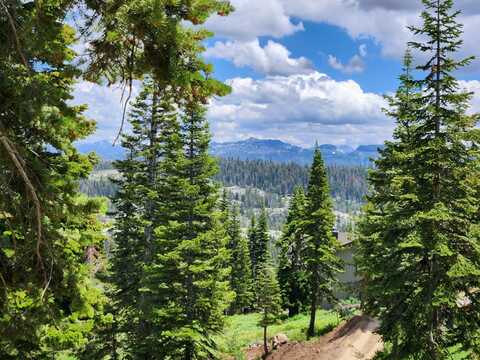 350 Snowshoe Rd, Bear Valley, CA 95223