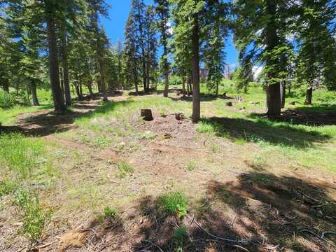 332 Snowshoe Rd, Bear Valley, CA 95223