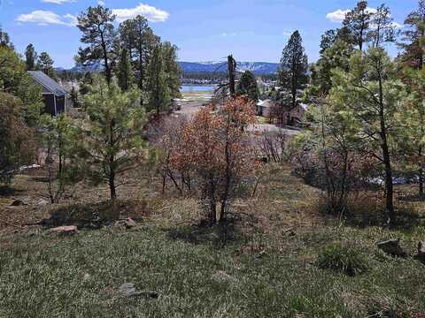 360 Caddy Circle, Pagosa Springs, CO 81147