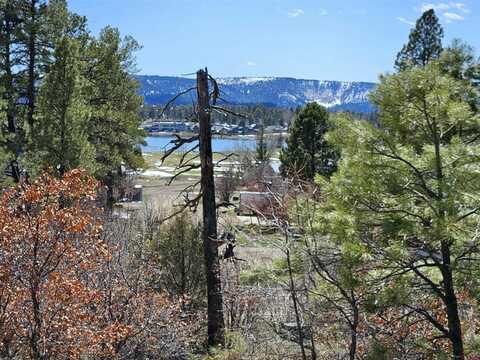 344 Caddy Circle, Pagosa Springs, CO 81147