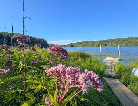 TBD Stevens Road, Barton, VT 05875