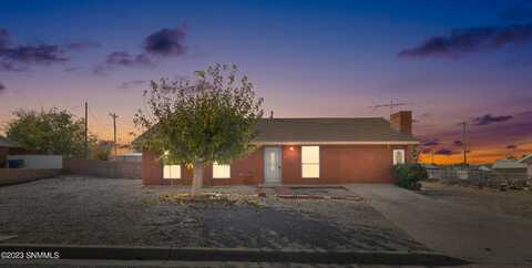 Palmilla Ave, MESQUITE, NM 88048