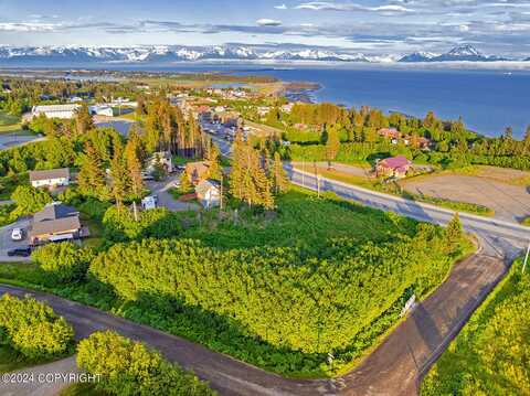 3658 Forest Glen Drive, Homer, AK 99603