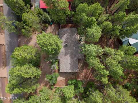 6487 TALL PINE Drive, Pinetop, AZ 85935