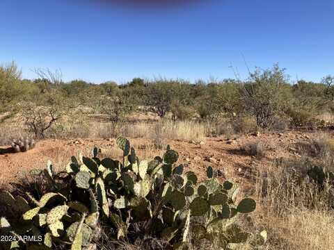 16223 S PIXIE Place, Tucson, AZ 85736