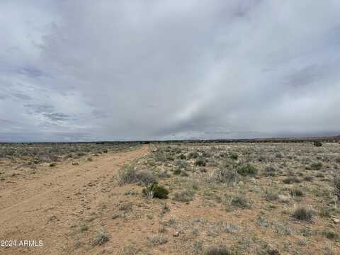 N7251 --, Saint Johns, AZ 85936