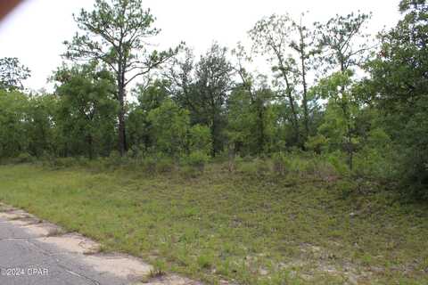 Lot 1 Esmont, Chipley, FL 32428