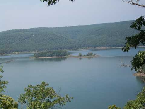 Lot 8 Bluff Drive, Edgemont, AR 72044