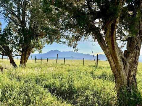 TBD Fruitland Mesa Road, Crawford, CO 81415