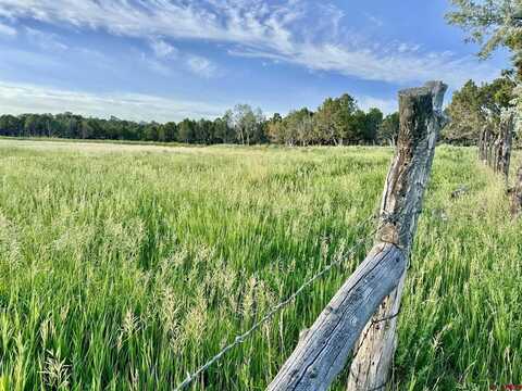 TBD Black Sage Road, Crawford, CO 81415