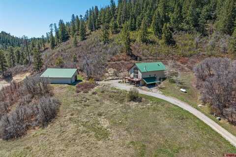 26 Severn Peak Road, Bayfield, CO 81122