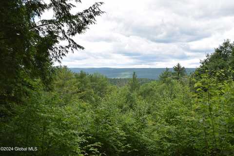 L 15.1 High Pine Meadows Road, Fulton, NY 12122